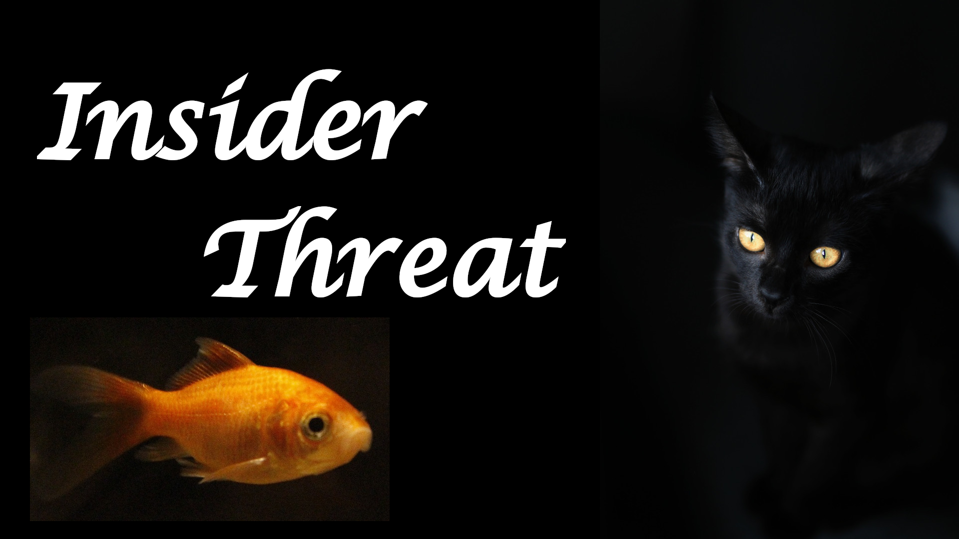 Insider-Threats-recall-that-the-Weakest-Link-in-Cybersecurity-is-Humans